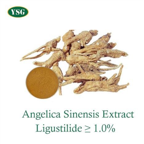 Anjelika Sinensis ekstrakti