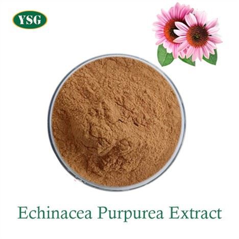 Echinacea o'simlik ekstrakti