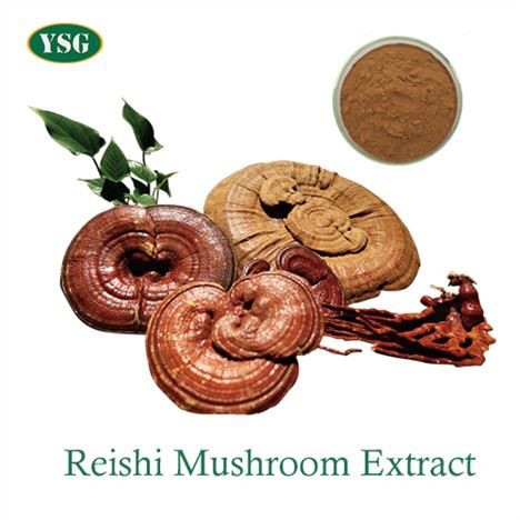 Ganoderma Lucidum ekstrakti kukuni
