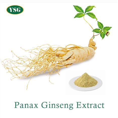 Panax Ginseng ekstrakti kukuni