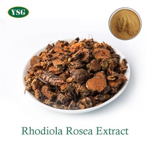 Rhodiola Rosea standartlashtirilgan ekstrakti