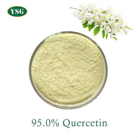 95.0% Quercetin kukuni
