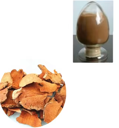Sarsaparilla kukuni