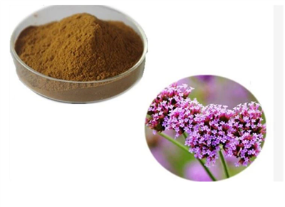 Verbena ekstrakti